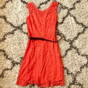 NWT halo lace orange mini summer dress